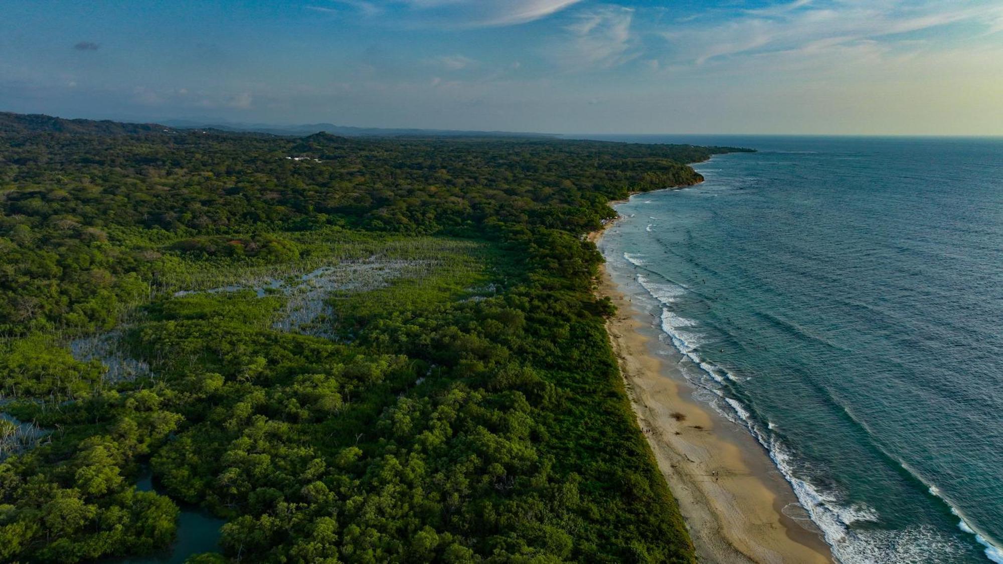 Beach Walk Costa Rica Playa Avellana Εξωτερικό φωτογραφία